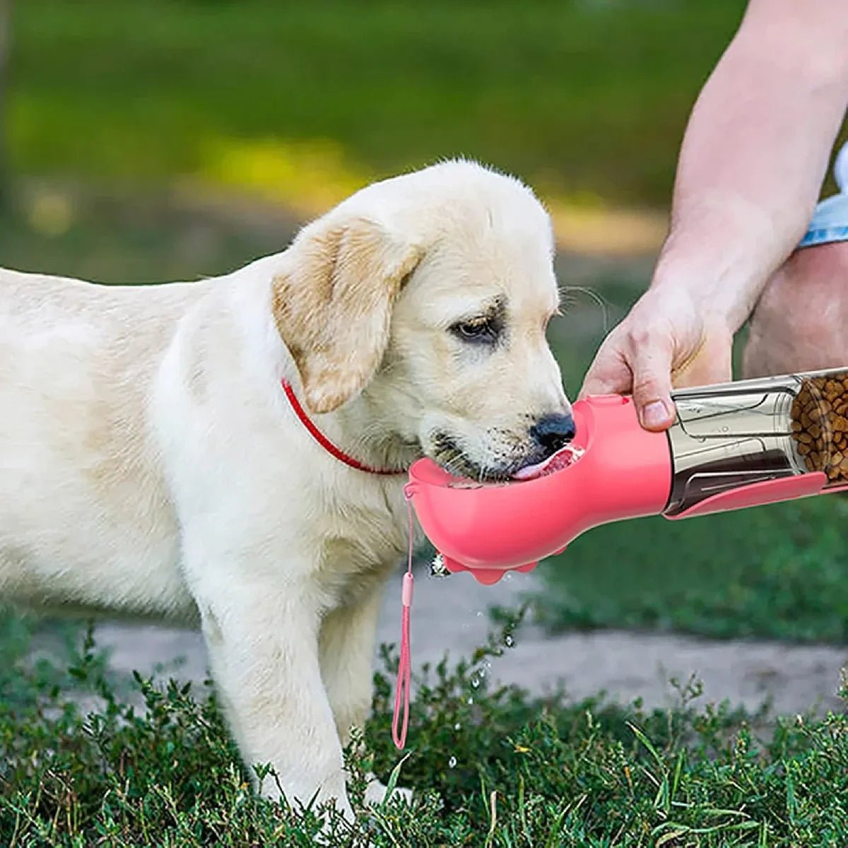 Botella 4‑en‑1 Mascotas - Everlace