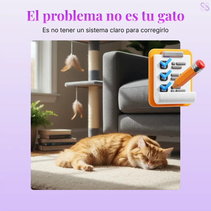 Guía práctica para detener el daño de tu gato en casa - Everlace