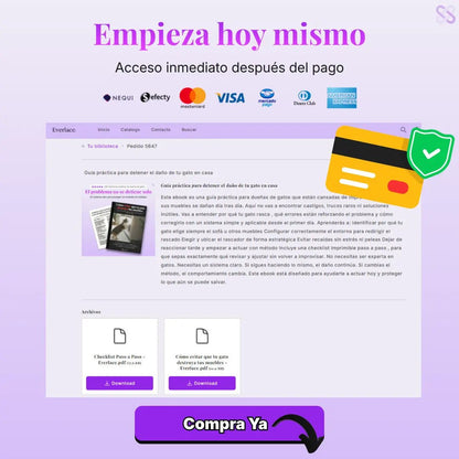 Guía práctica para detener el daño de tu gato en casa - Everlace