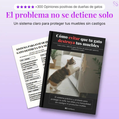Guía práctica para detener el daño de tu gato en casa - Everlace