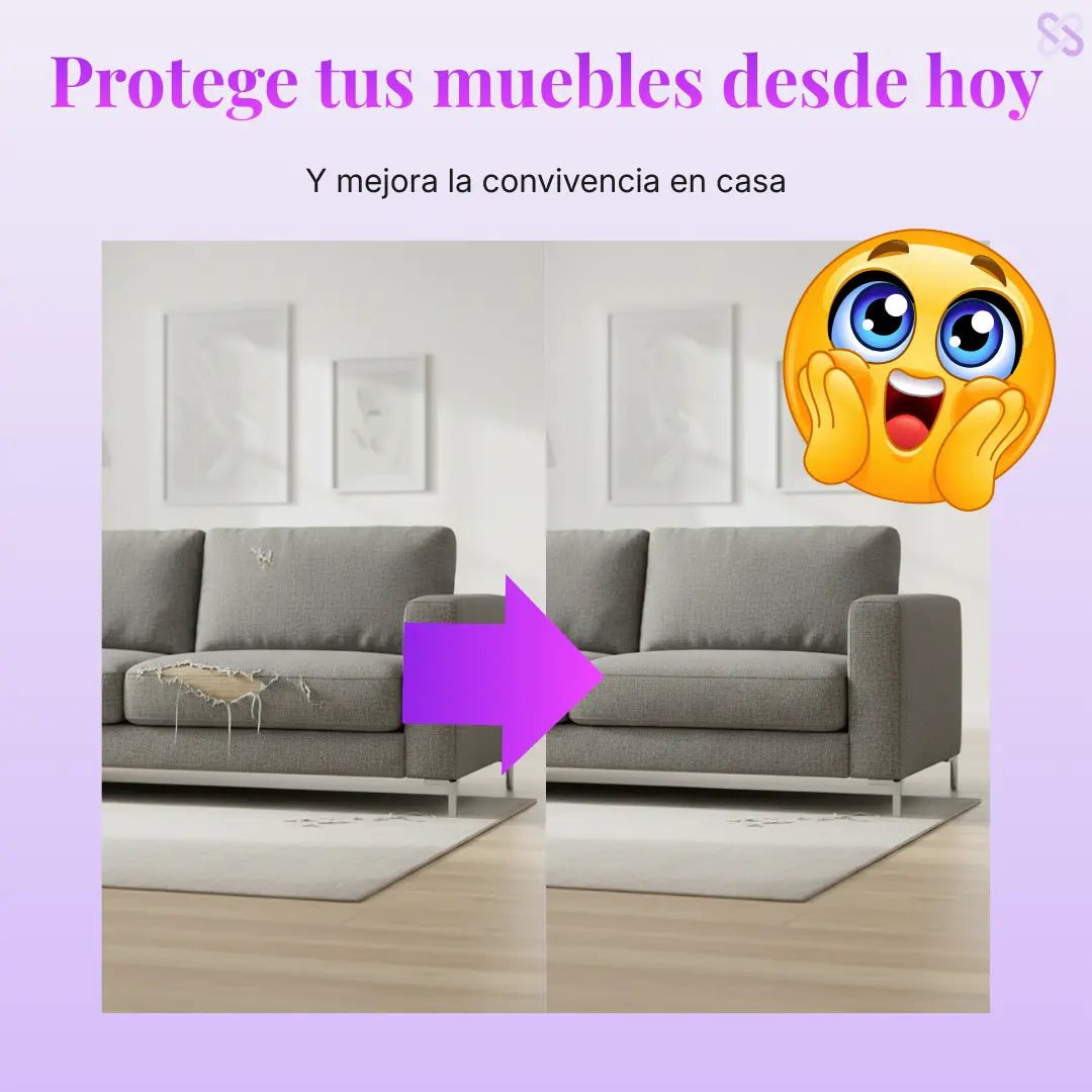 Guía práctica para detener el daño de tu gato en casa - Everlace