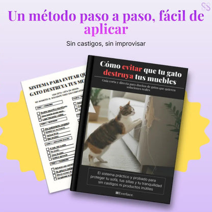 Guía práctica para detener el daño de tu gato en casa - Everlace