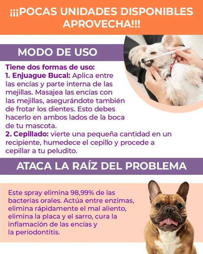 Happy Pets TT1 - Everlace