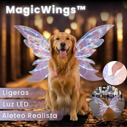 MagicWings™ ORIGINALES *Diseño NUEVO* - Everlace